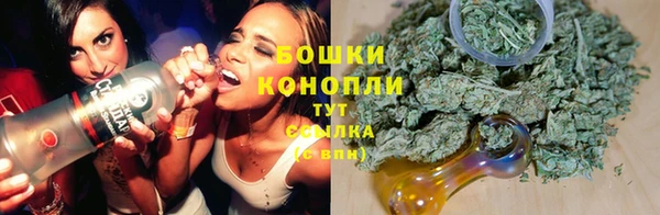 индика Струнино