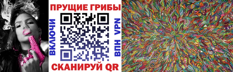 закладка  Алзамай  Псилоцибиновые грибы Psilocybine cubensis 